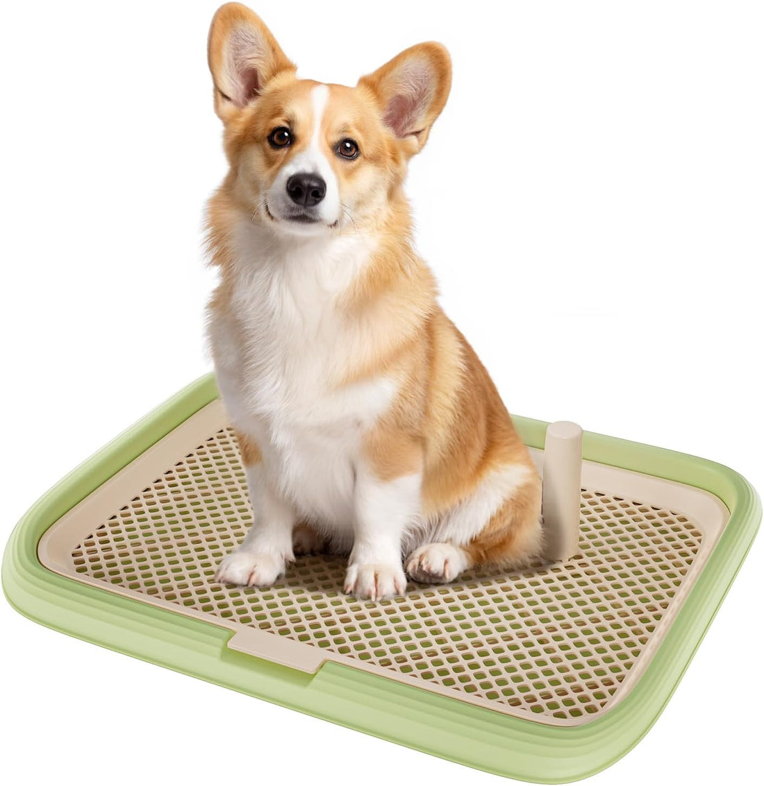 Dog Potty Tray, 23.6"x17.68" Indoor Pet Pee Pad Holder,Puppy Training