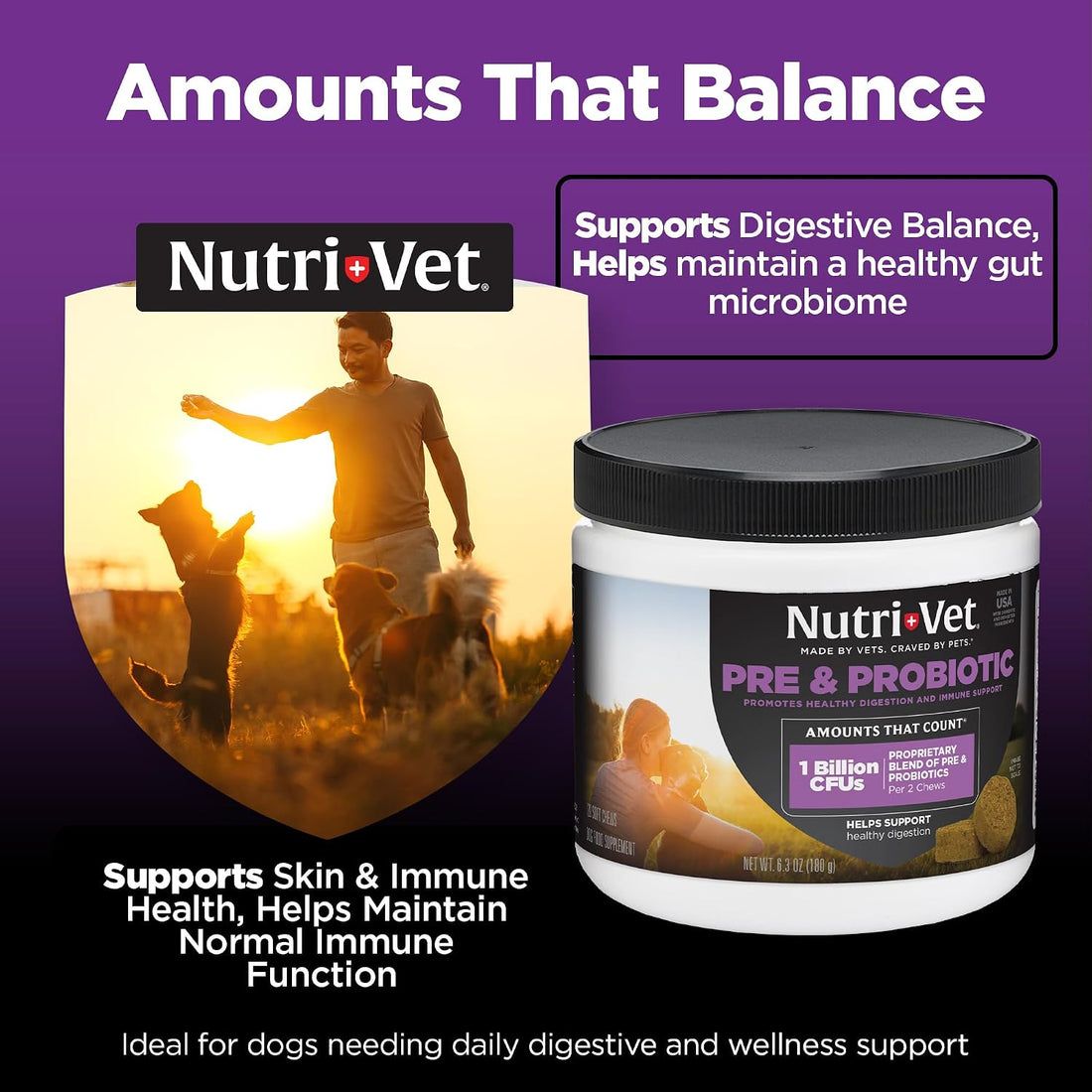Nutri-Vet Pre & Probiotics for Dogs, Digestive Support, Upset Stomach