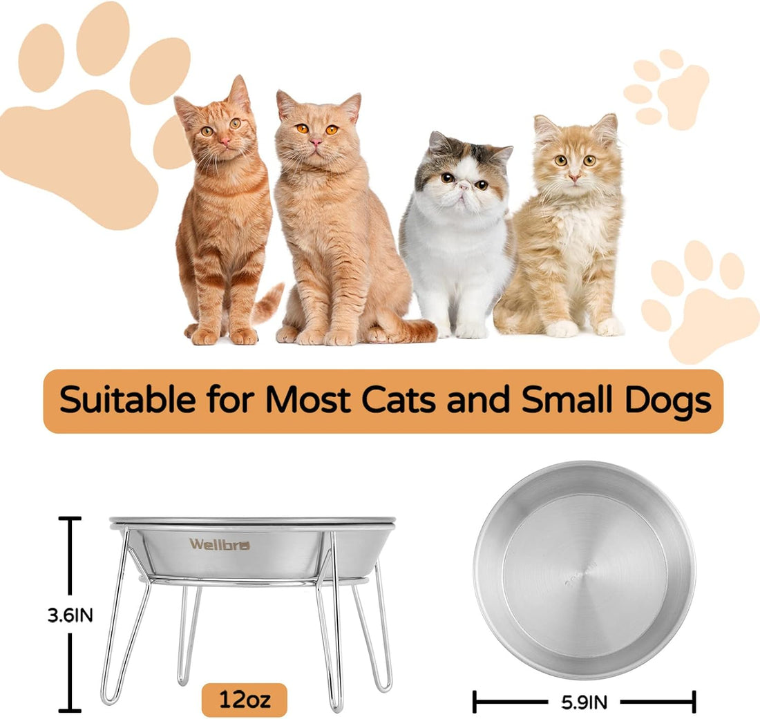 Elevated Cat Bowls, Wide Stainless Steel Cat Food Bowls with Metal