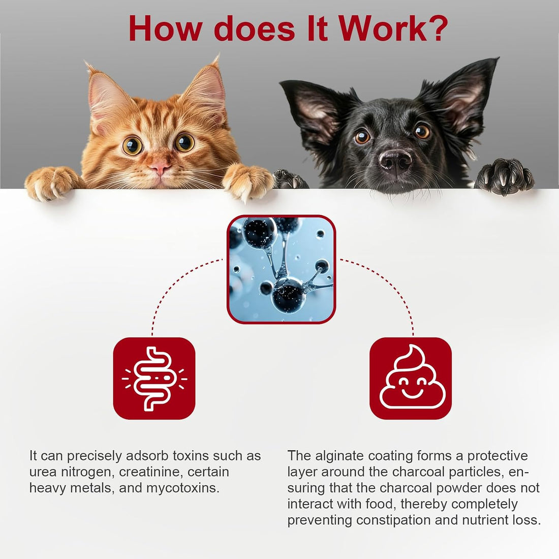 Activated Charcoal Powder for Dogs Cats