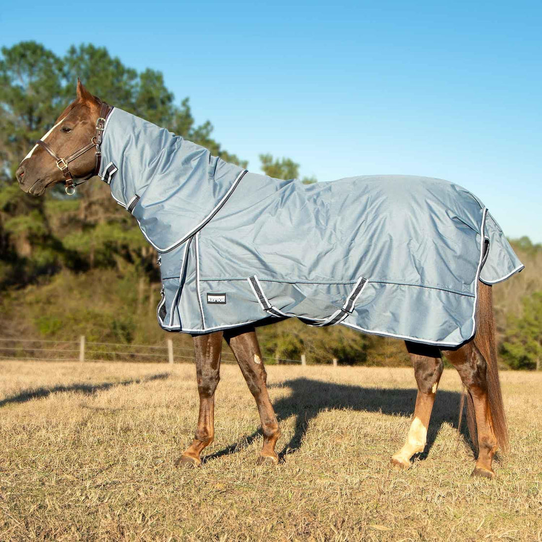 Jeffers Poplar Head Refuge 1200D Waterproof Horse Turnout Blanket