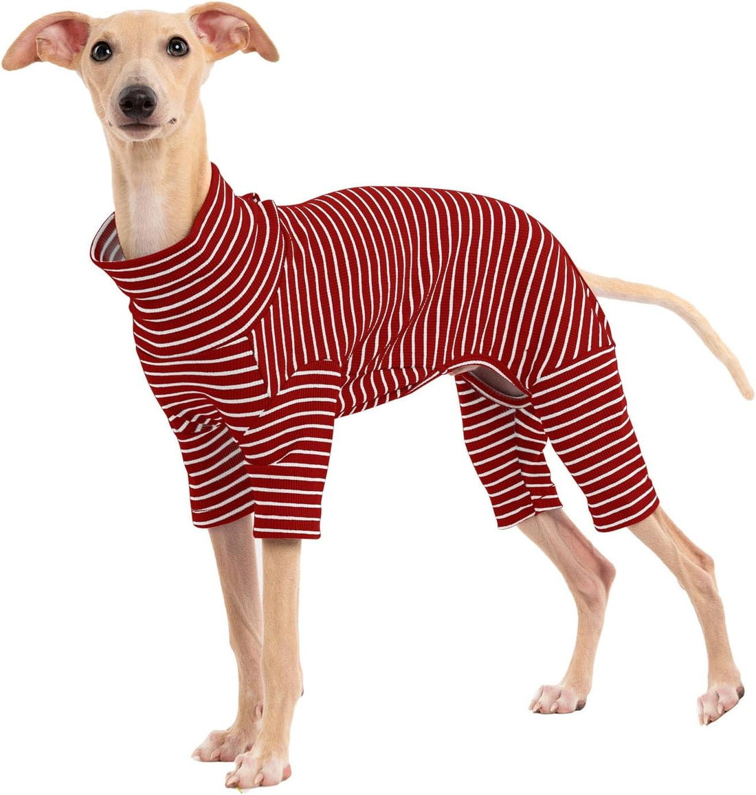 Dog Sweaters for Small Dogs Girls Boys