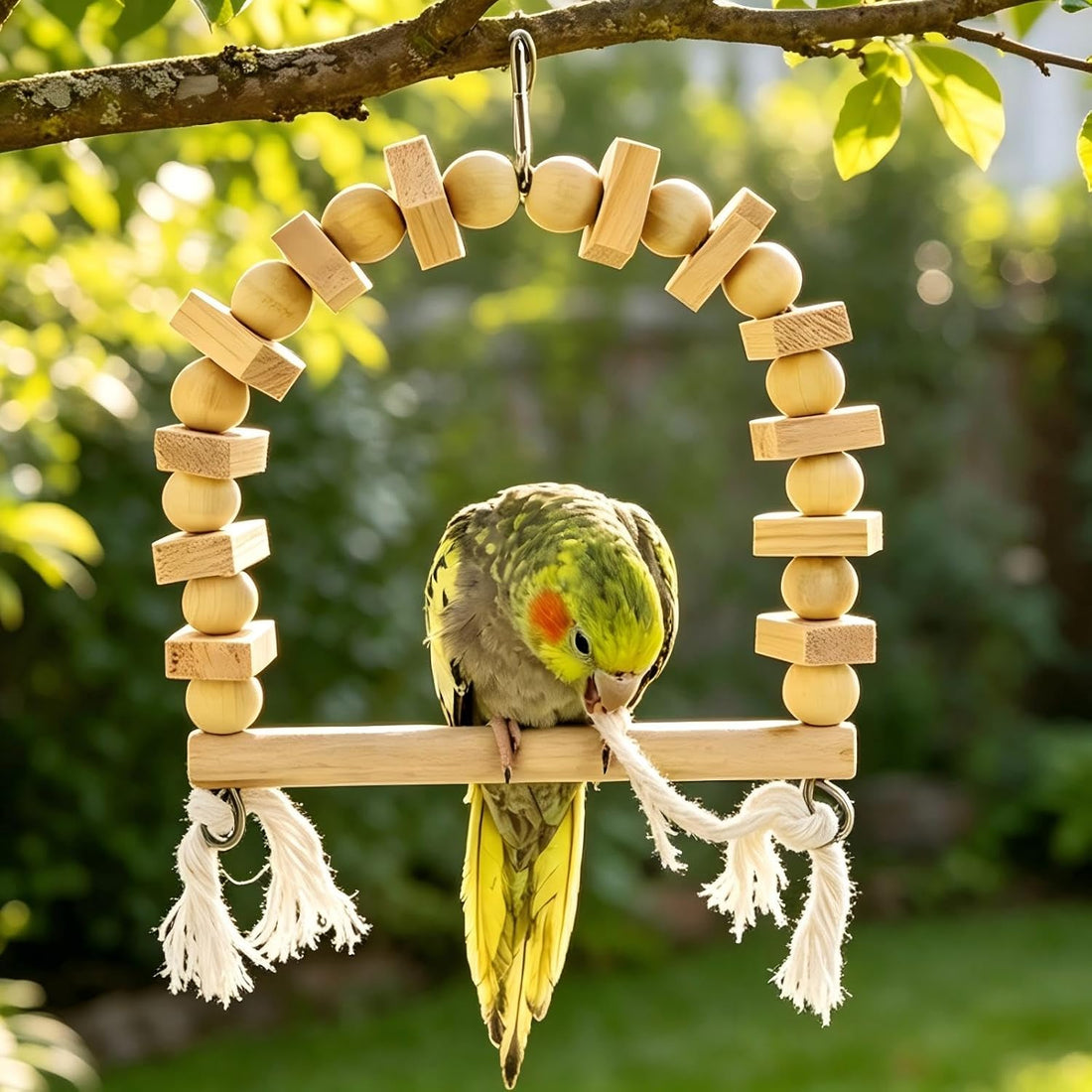 Hummingbird Swing for Outdoors Hanging