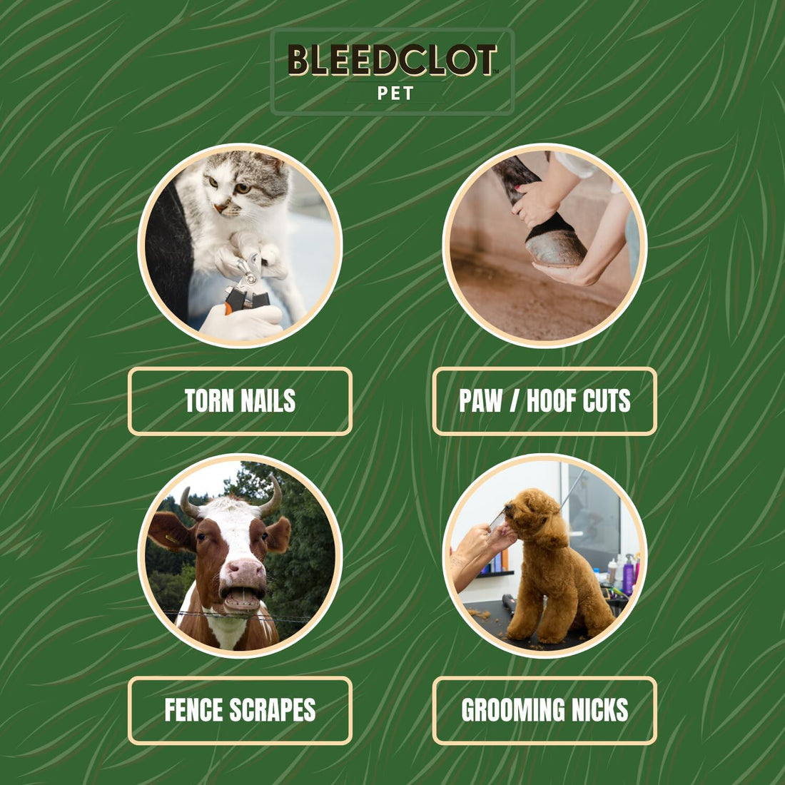 BleedClot Pet First Aid Blood Clotting Powder