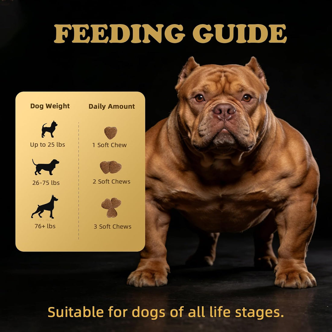 Dog Weight Gainer & Muscle Builder