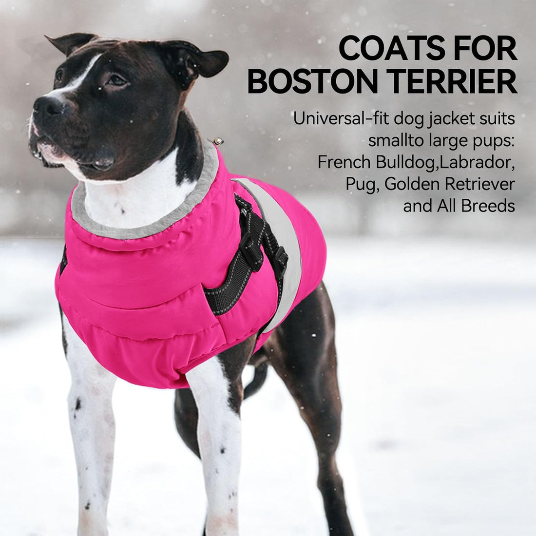 Warm Dog Coat with Harness Built in Dog Jacket for Small Dogs