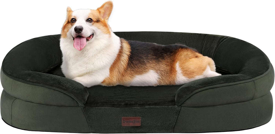 Dwanton Orthopedic Waterproof Medium Dog Bed Sofa, Gel Memory Foam