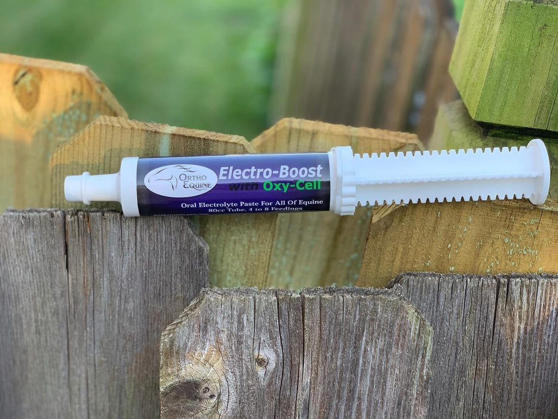 Electro-Boost Oxy-Cell Electrolyte Paste for Horses, 80ml