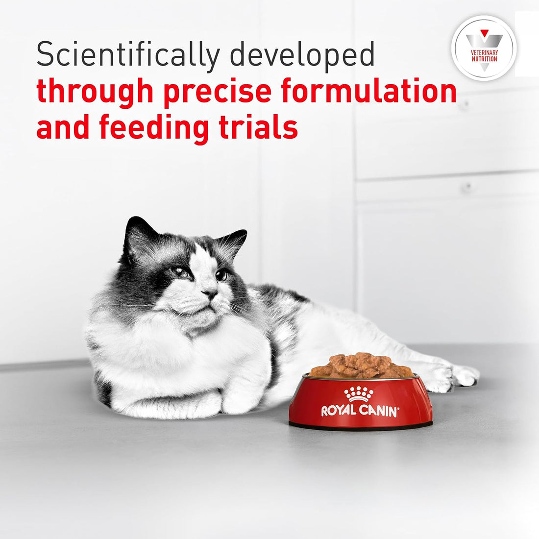 ROYAL CANIN Veterinary Diet Feline Urinary SO Adult Morsels in Gravy