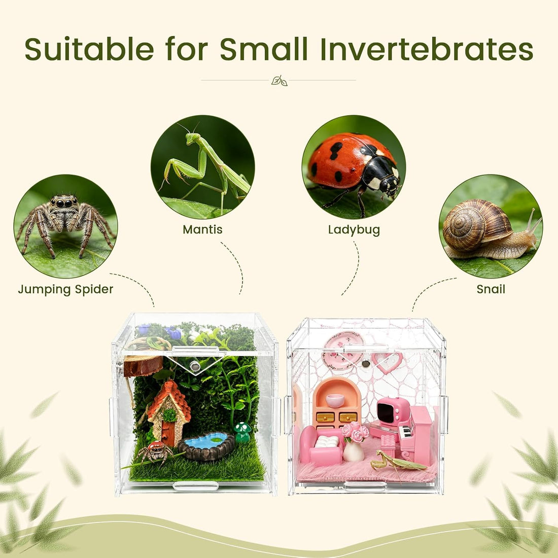 MHDGG Jumping Spider Enclosure Kit, Clear Acrylic Terrarium, 2 Pack