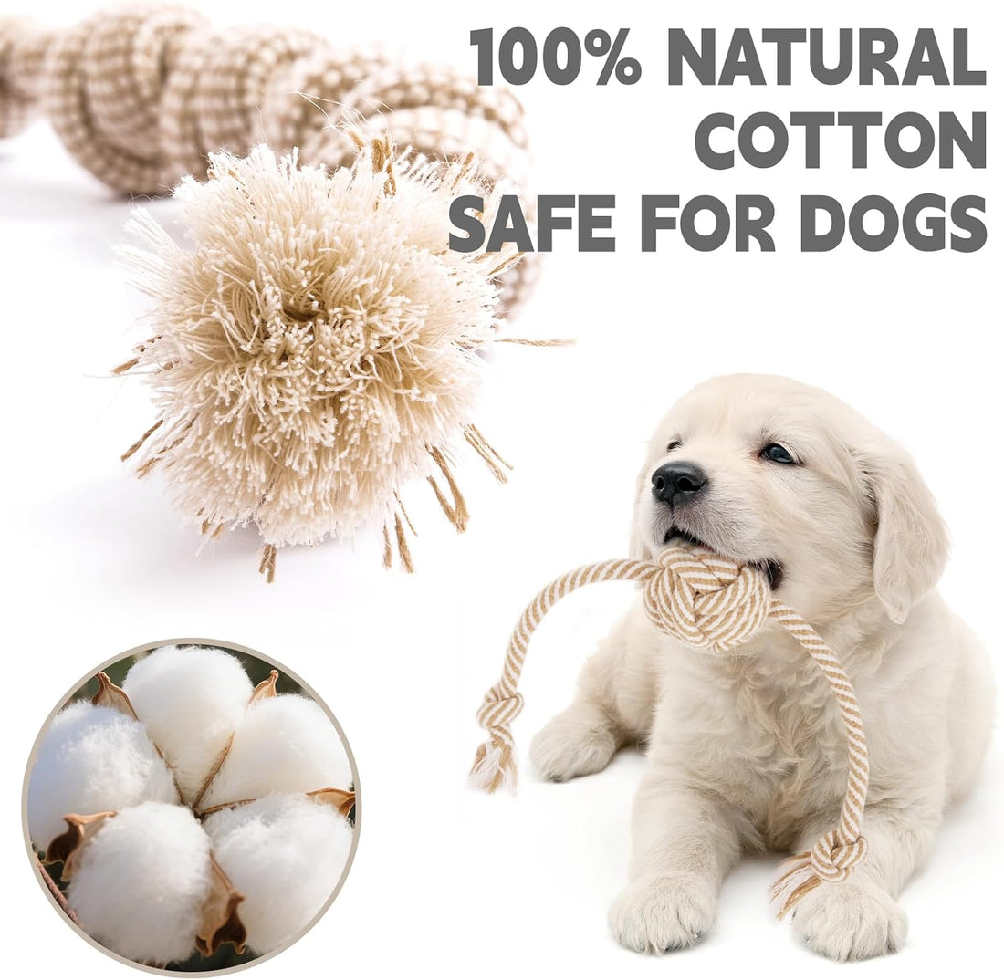 PATTEPOINT Dog Rope Toy for Small Dog 3pcs
