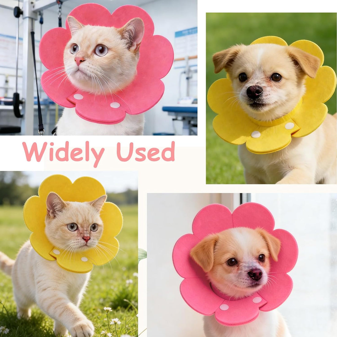Cat Recovery Collar Cute Flower 2Pcs, L 10.2-12.2"