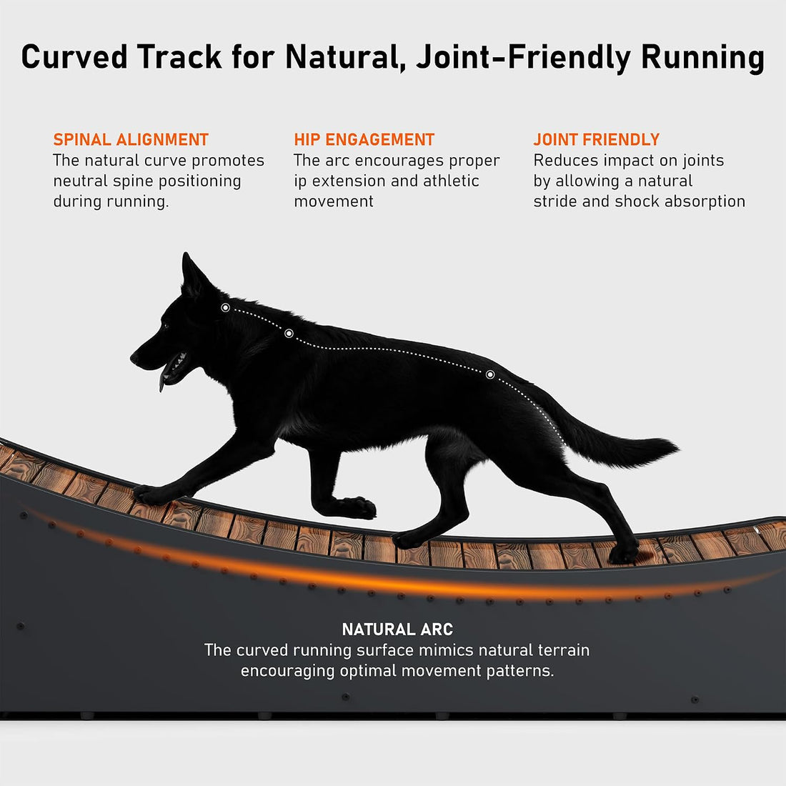 Curved Wooden Dog Treadmill, Zero Assembly, Ready to Use