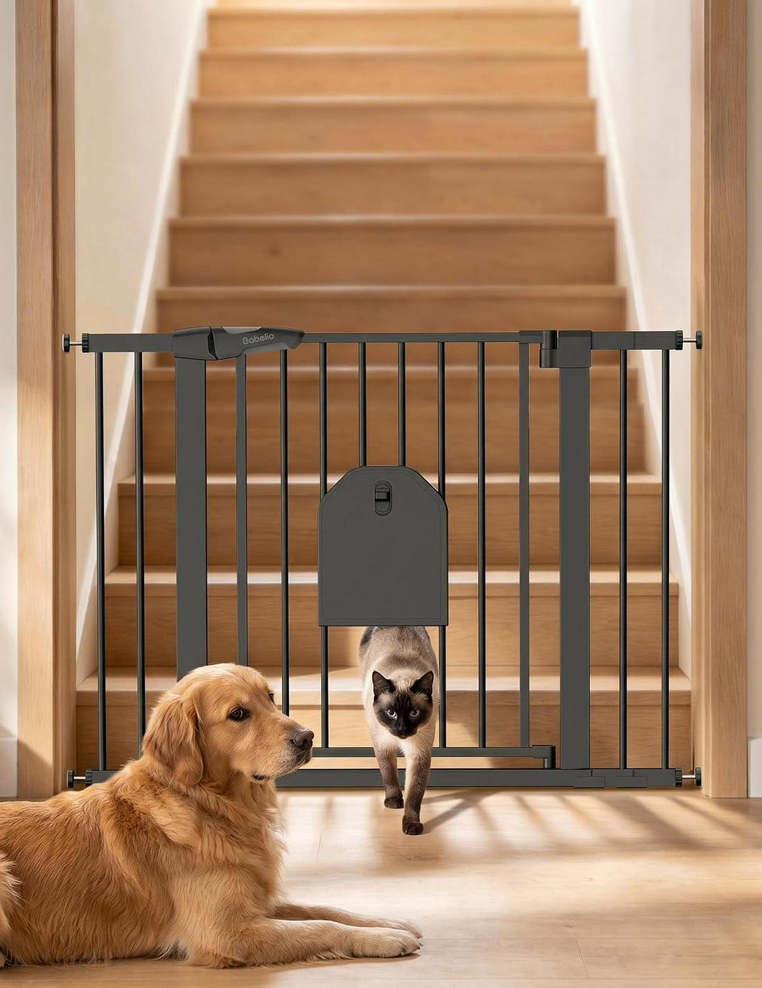 Babelio Auto Close Dog Gate with Cat Door, CatPrivilege I, 29-43"