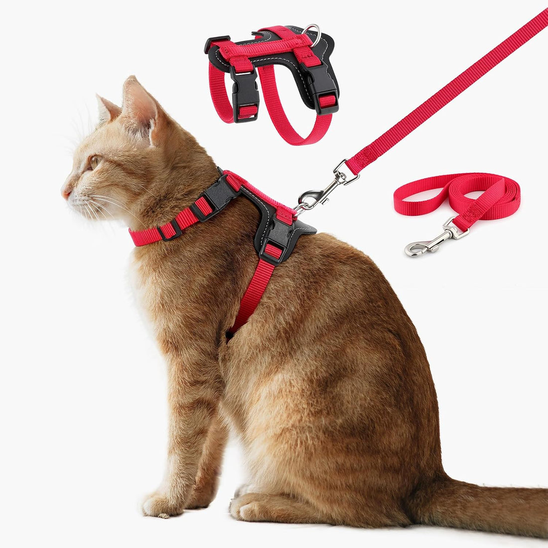 Plutus Pet Adjustable Cat Harness and Leash Set, with Leather Trim