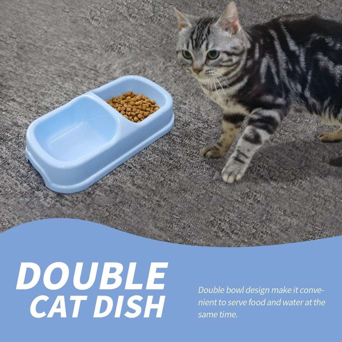 PAWISE Small Cat Litter Box,14.3 x 10.6 x 2.5 Kitten Litter Box