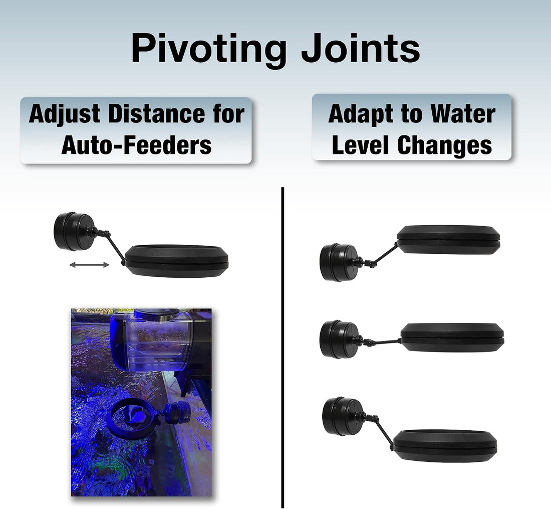 Two Little Fishies MagFeeder Magnetic Floating Aquarium Fish Feeding