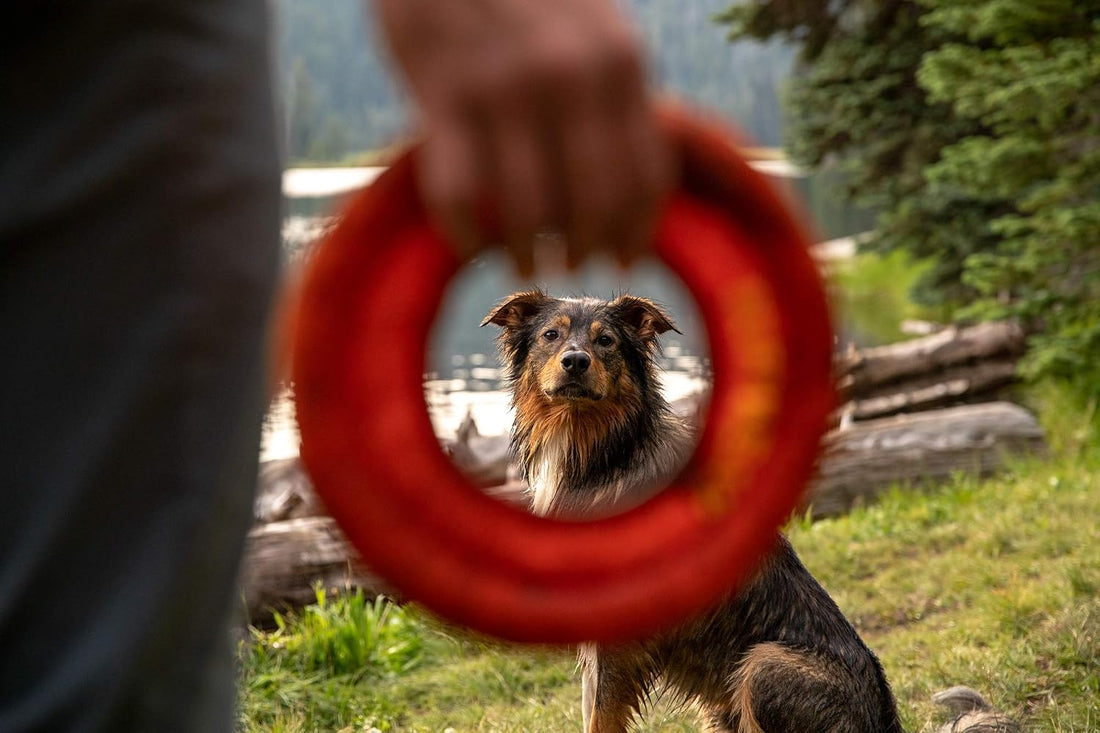 Ruffwear Hydro Plane Floating Dog Flying Disc
