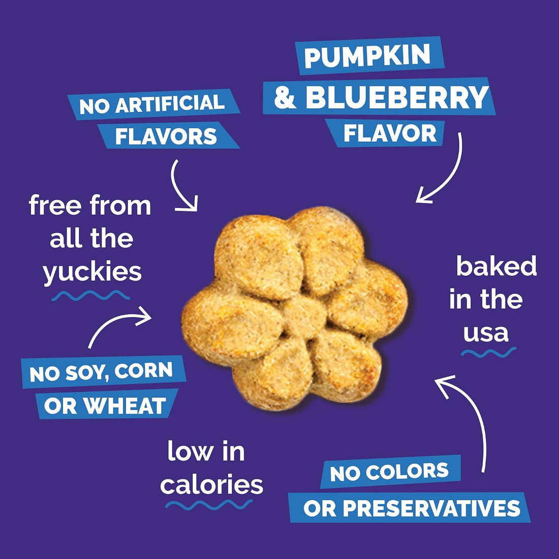 Fruitables Baked Dog Treats, Healthy Pumpkin Treat for Dogs