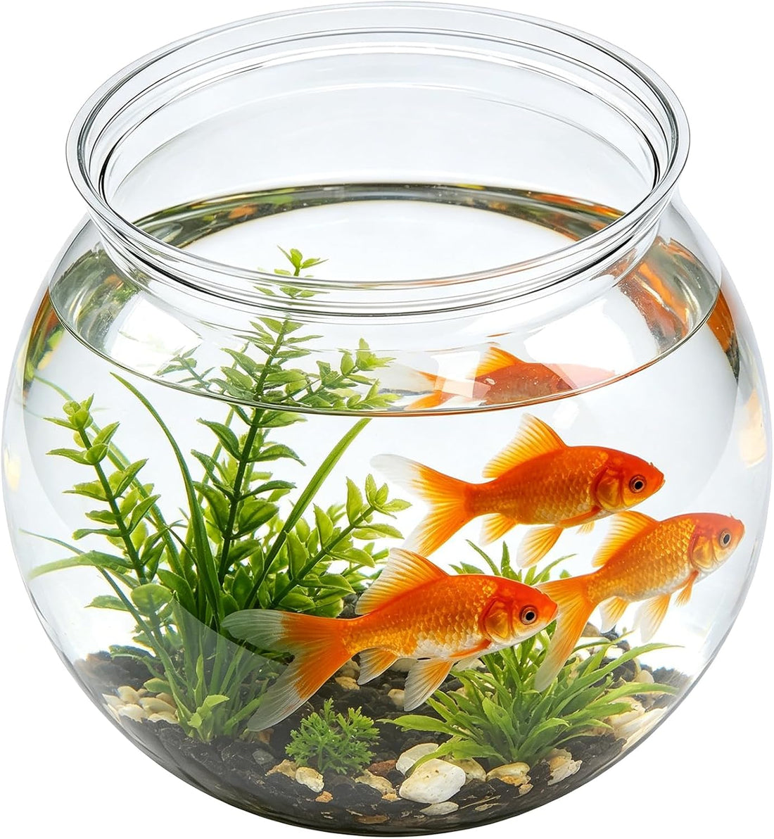 1 PCS Fish Bowl Small Plastic Bubble Bowl (23 Oz)