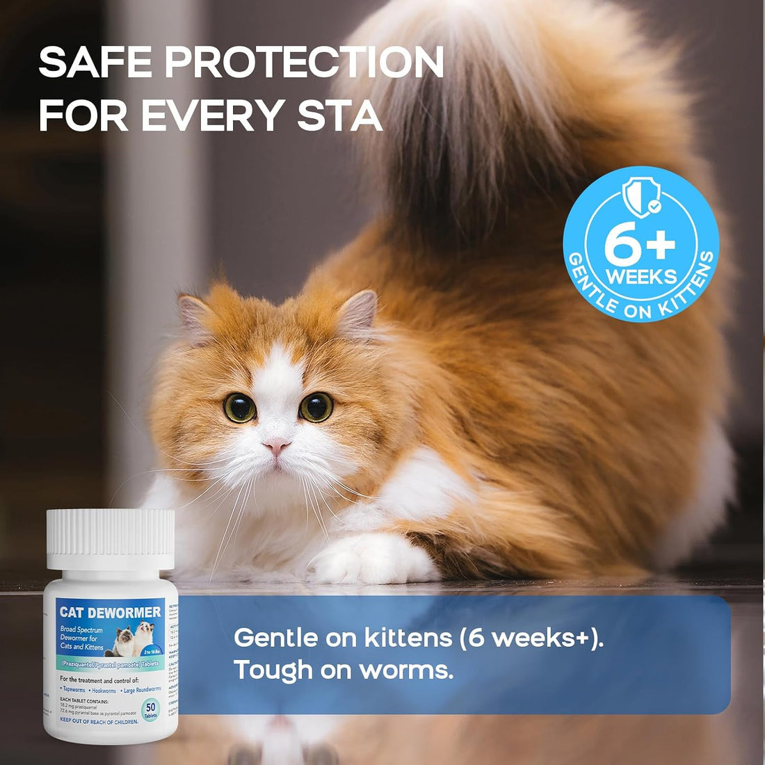 Dewormer for Cats and Kittens - Cat Dewormer All Worms Broad Spectrum