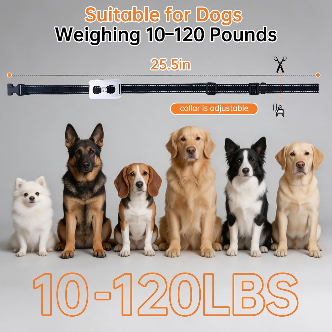 2-in-1 Wireless Dog Fence and Shock Collar for Large Dogs