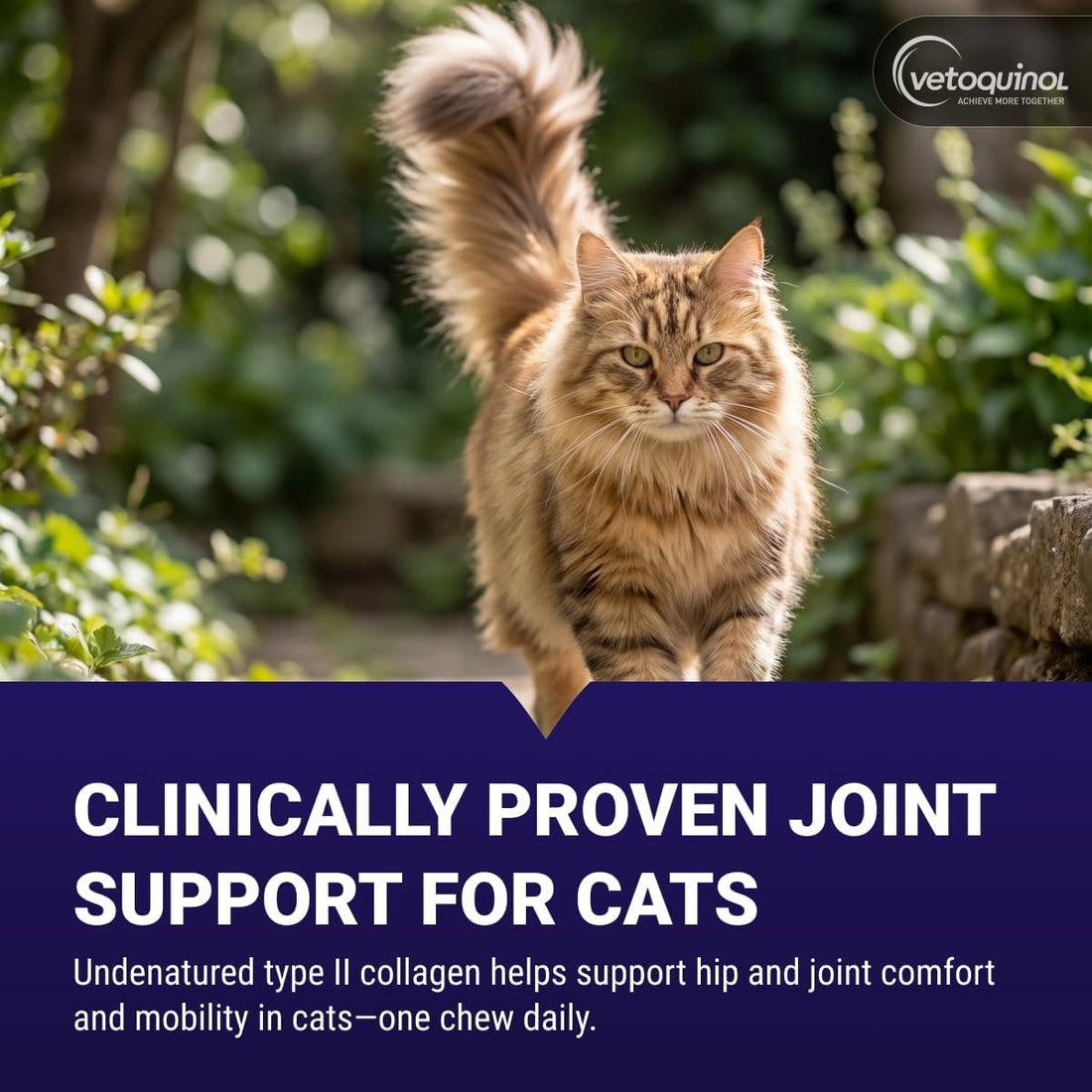 Vetoquinol Flexadin - Joint Support for Cats of Any Size