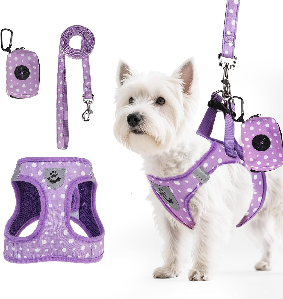 PAWCHIE Christmas Dog Harness and Leash Set