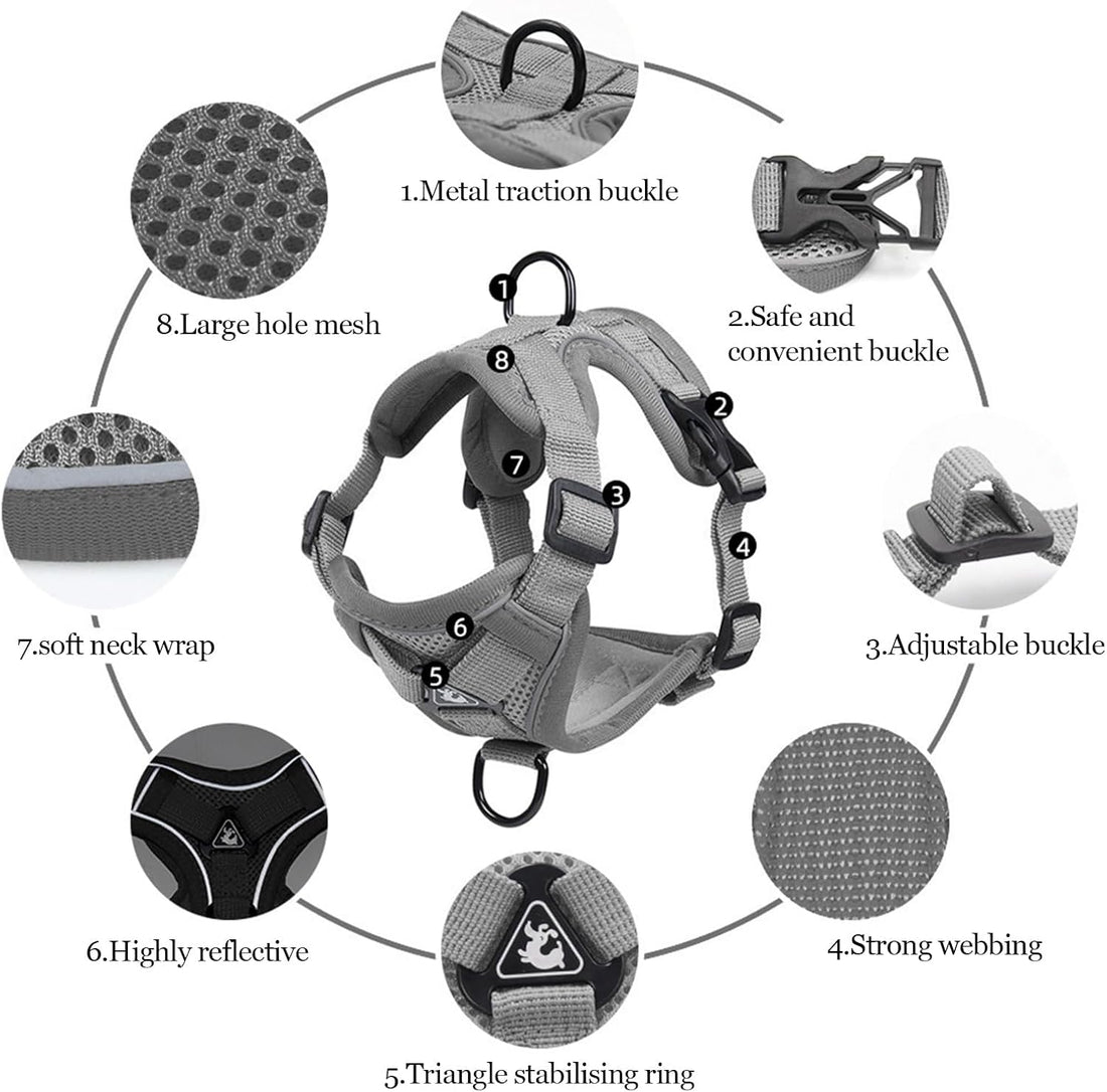 Wanheart cat Chest Harness and Leash