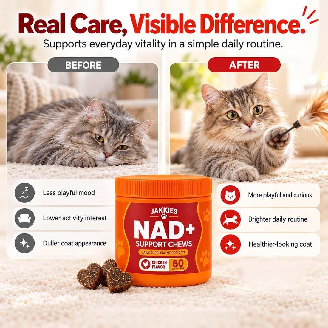 Support Chews for Cats, Energy & Vitality, Immune System