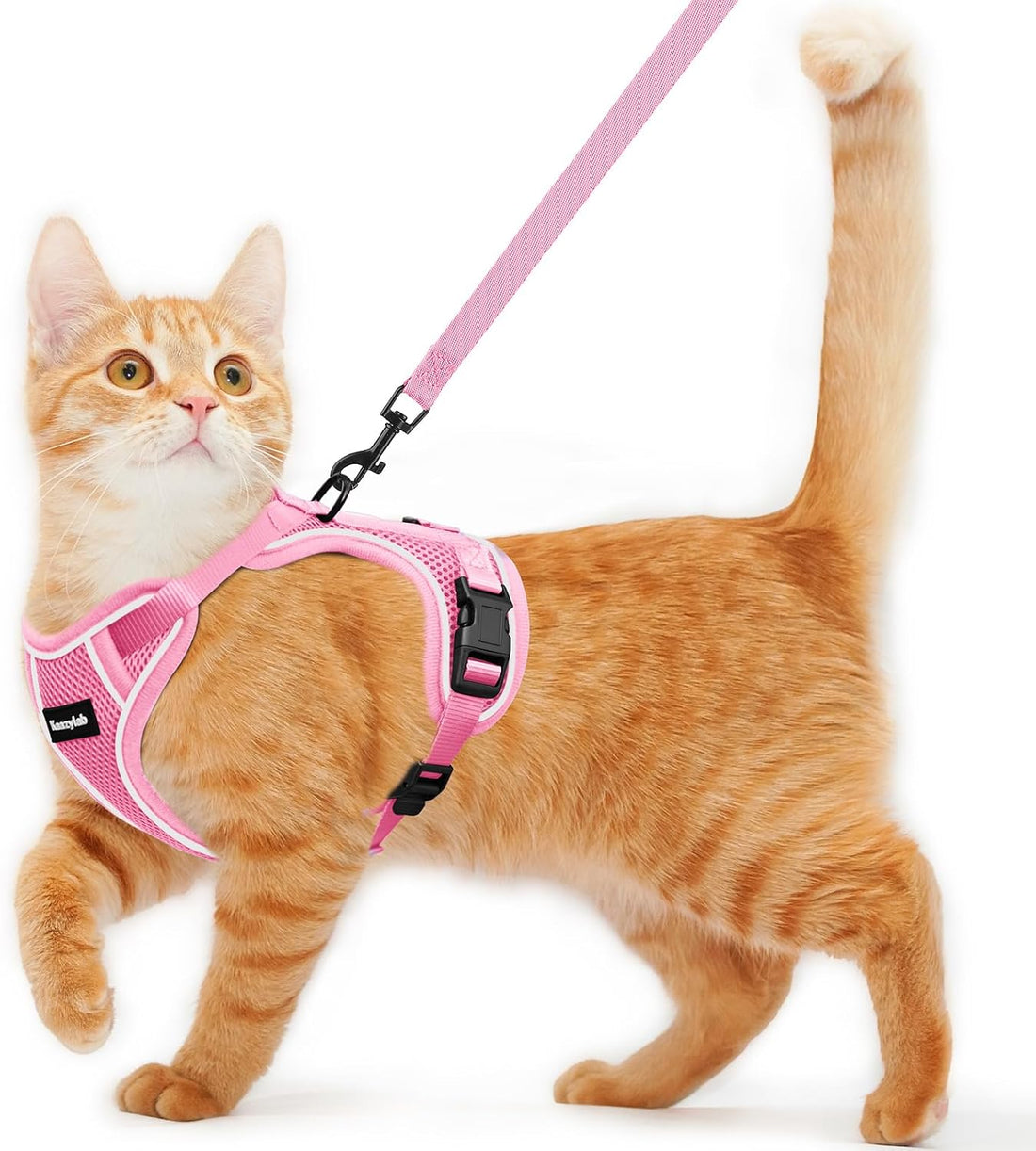 Cat Harness and Leash for Walking Escape Proof Soft Adjustable Cat