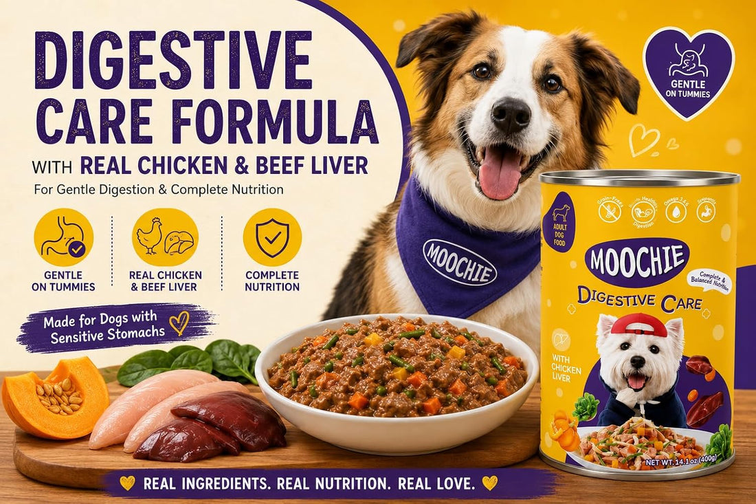 MOOCHIE Digestive Care Wet Dog Food for Small Breeds, Chicken & Beef