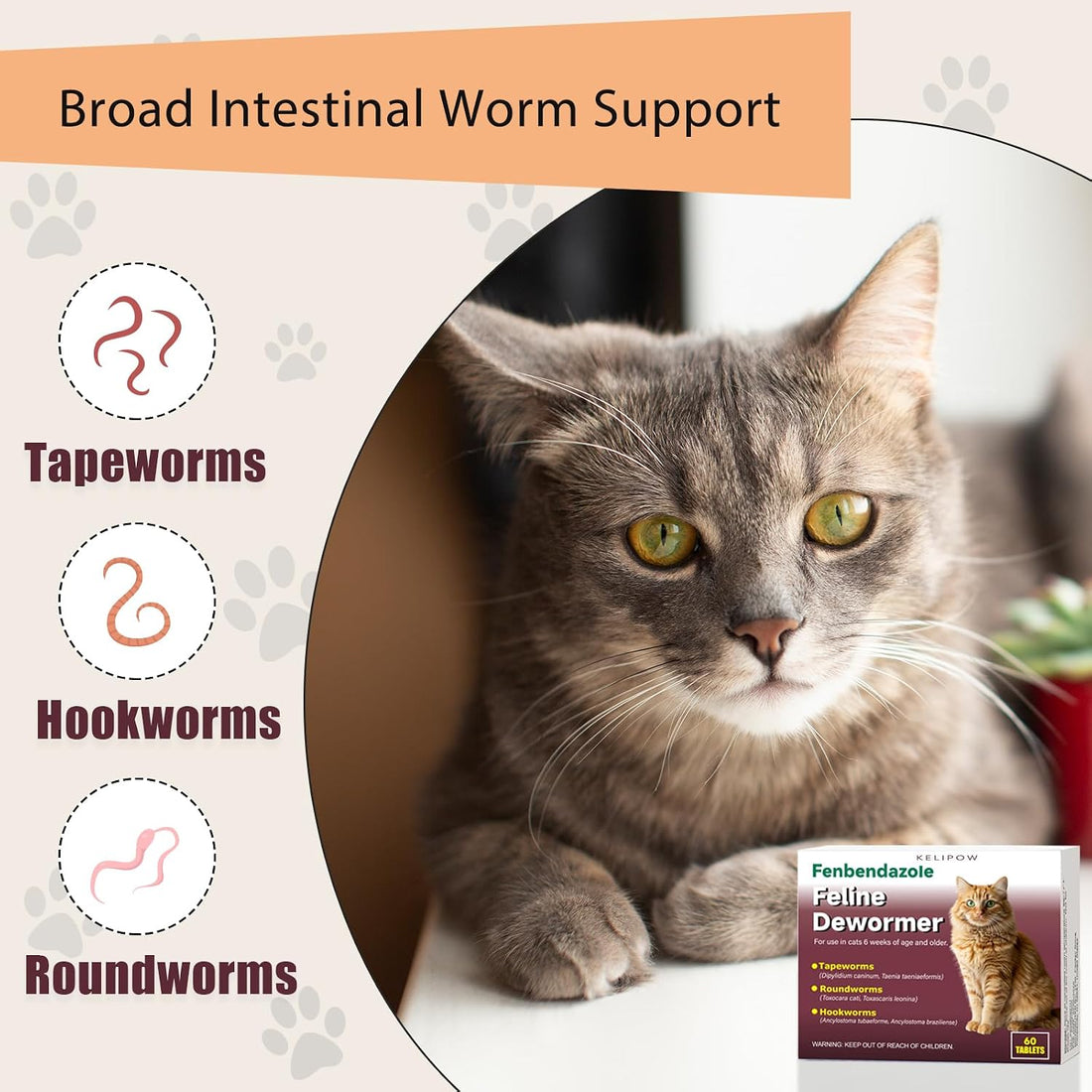 Dewormer for Cats & Kittens, Fenbendazole for Tapeworms