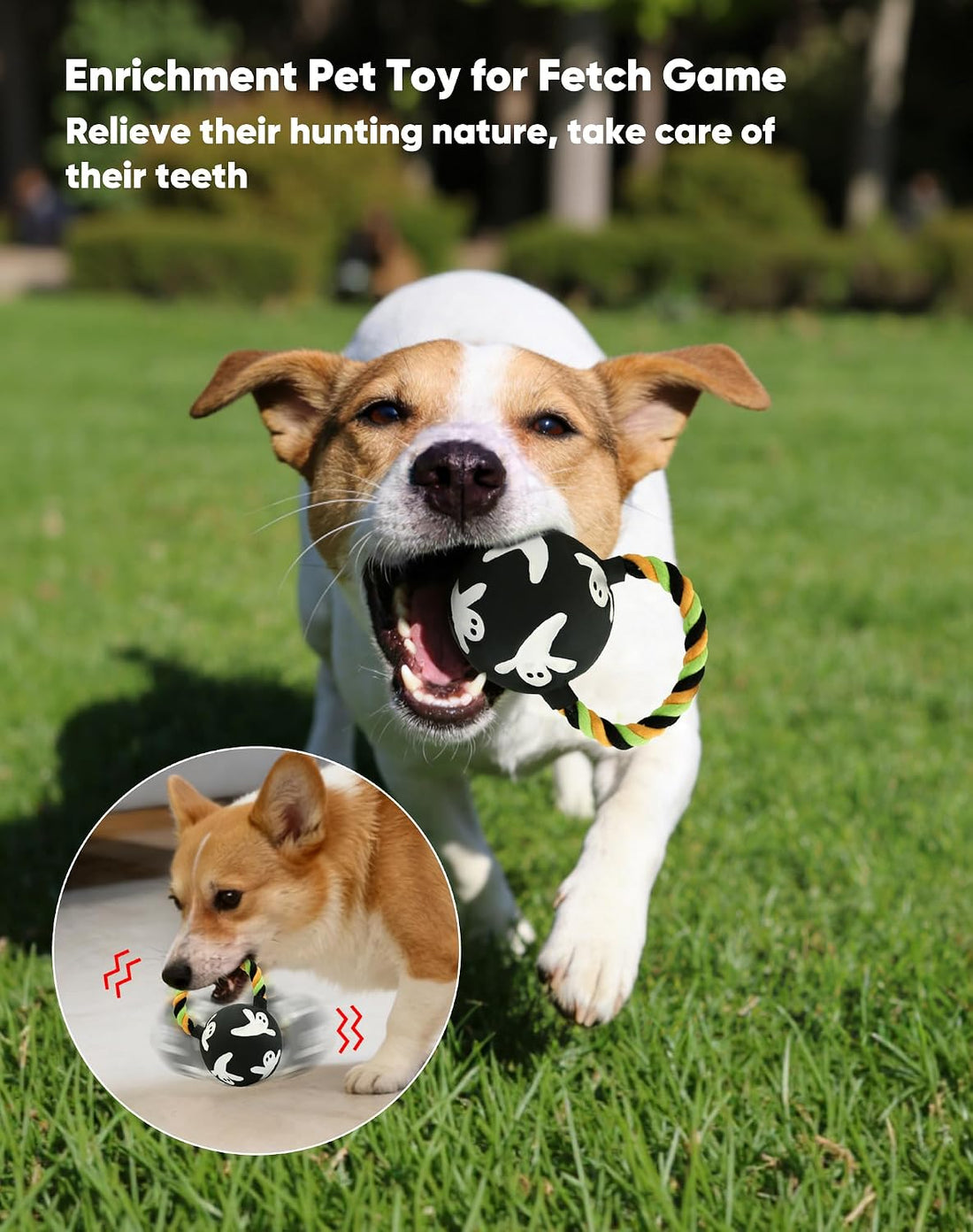 Squeaky Natural Rubber Dog Flying Disc/Frisbee/Flyer with Black Ball