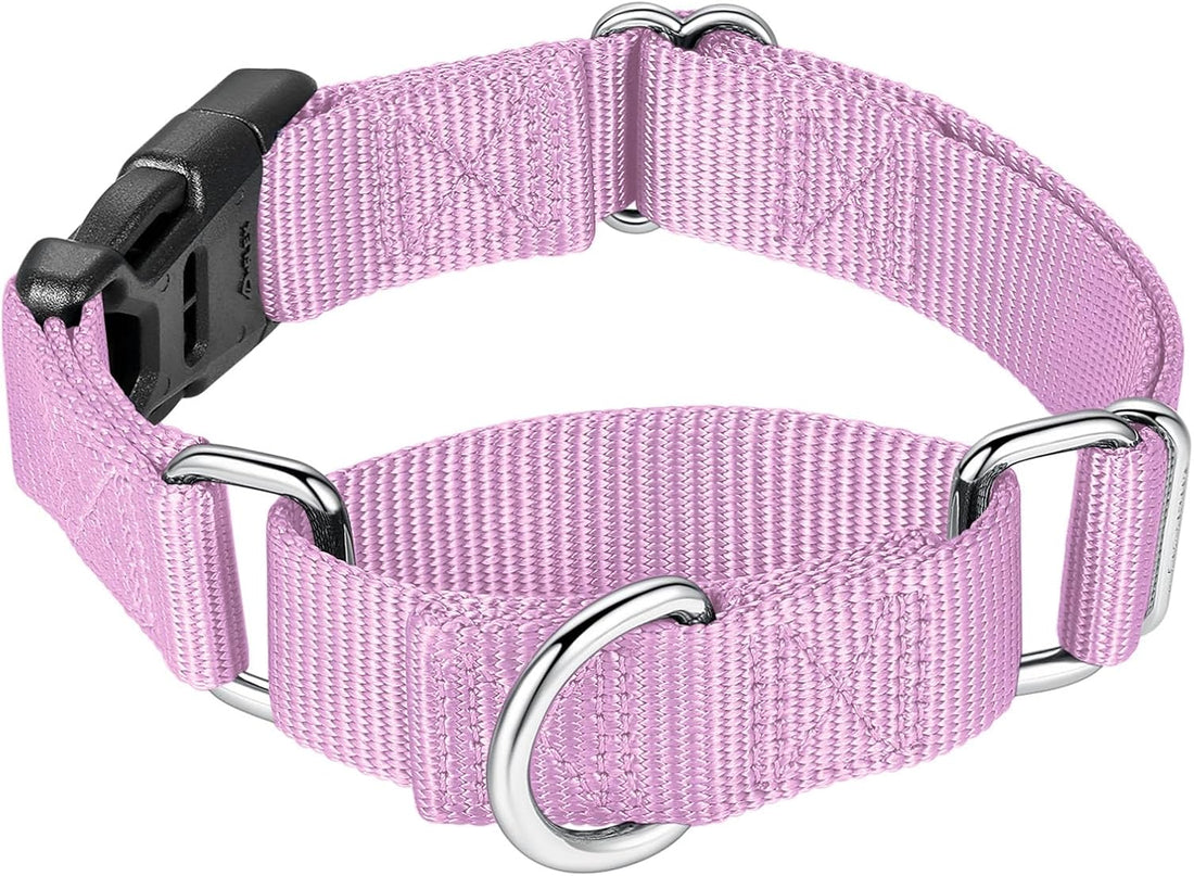 Mikivery Martingale Collar for Dogs Nylon Dog Collar with Quick