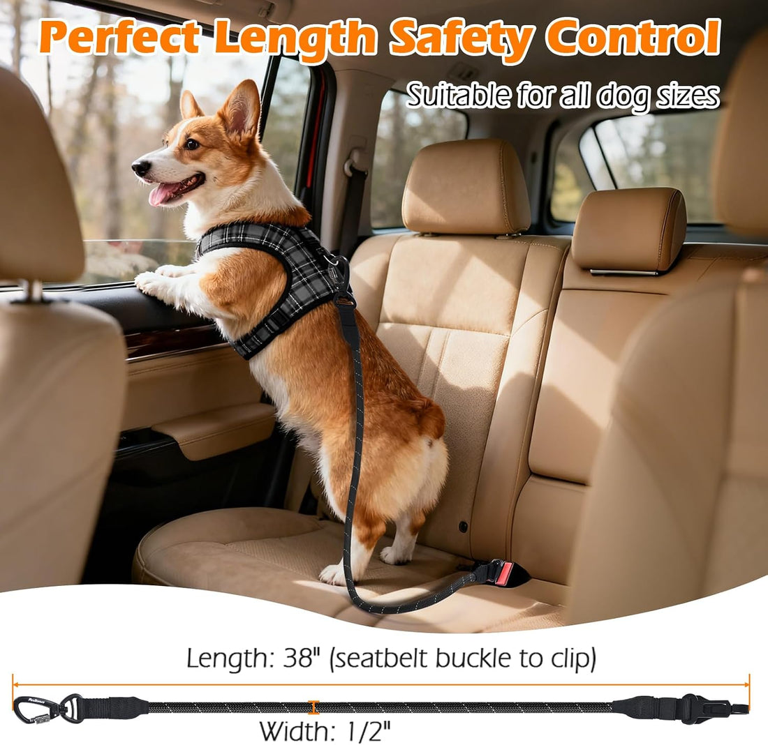 PetBonus Dog Seat Belt for Car