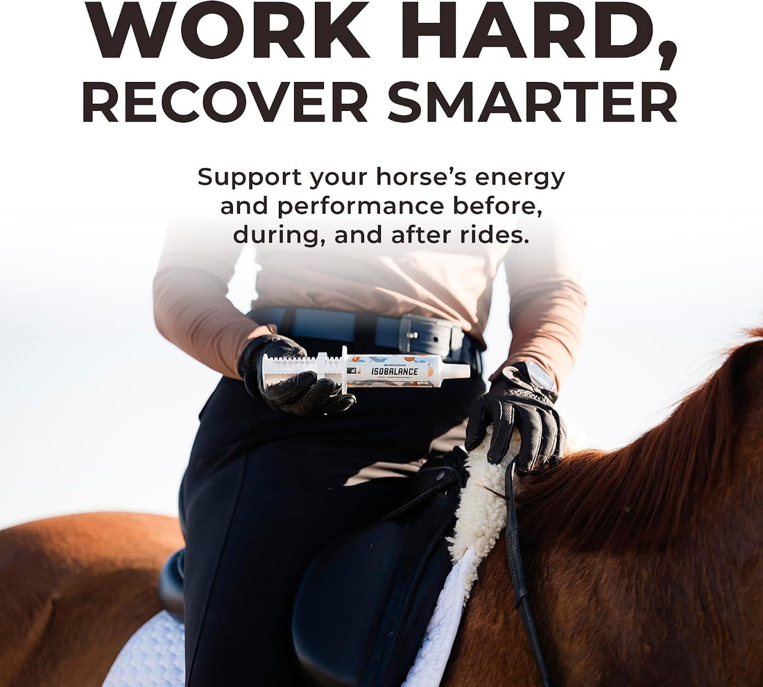 Redmond IsoBalance Horse Electrolyte Paste