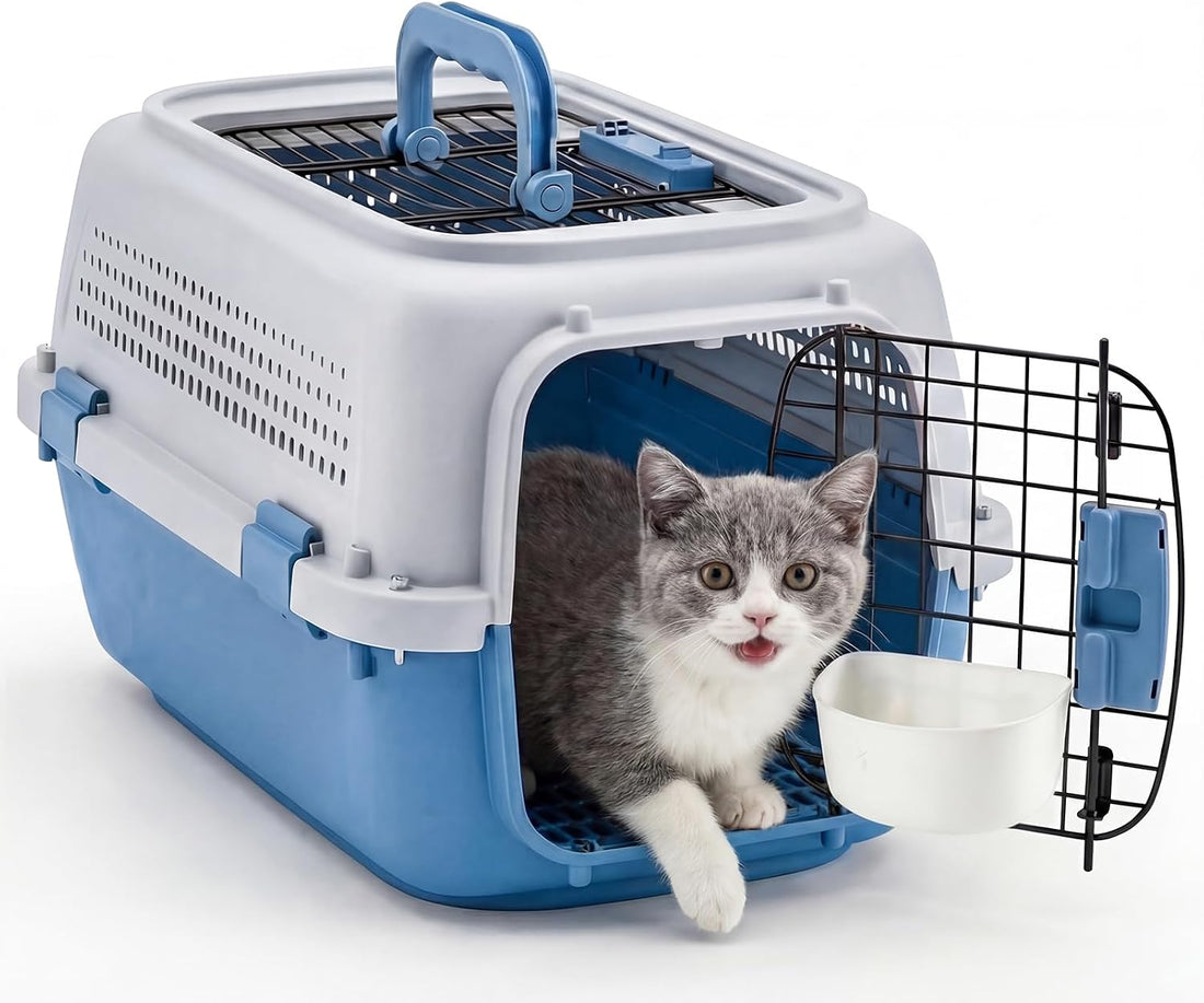 NEWBULIG 23" Hard-Sided Dog Carrier for Small Dogs & Cats