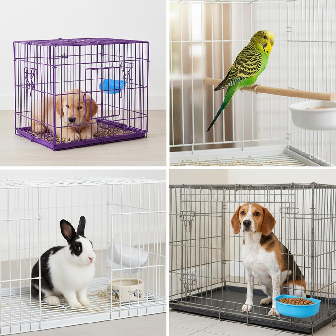 2 Pcs Rabbit Food Bowl, Guinea Pig Food Dish Bird Feeding Dish Crate