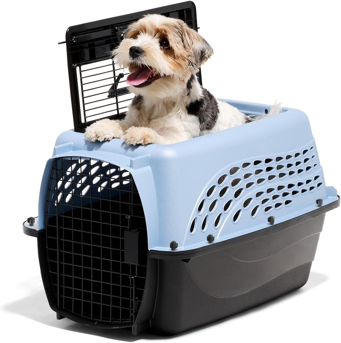 Petmate Plastic Pet Kennel for Cats & Small Dogs