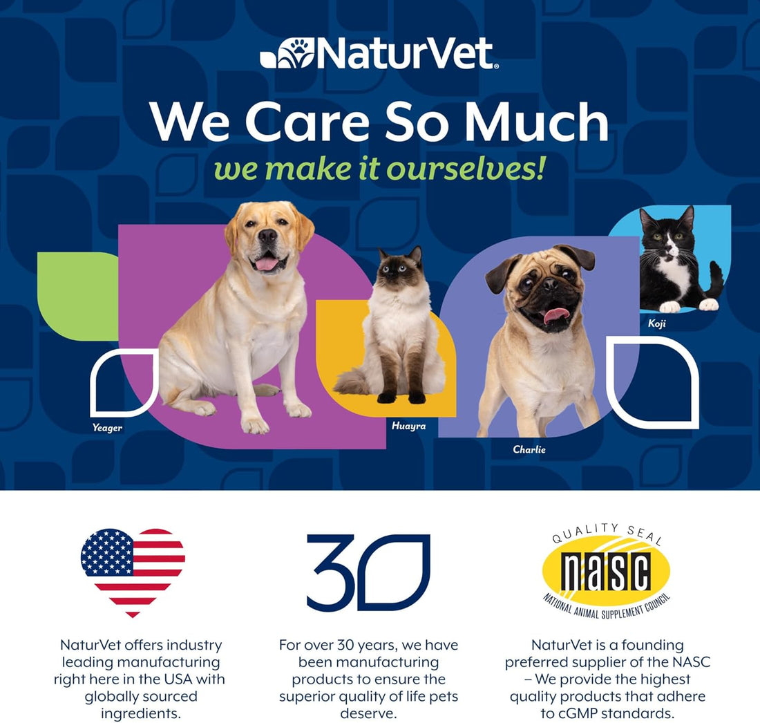 NaturVet L-Lysine Immune Support Plus Antioxidants Cat Supplement