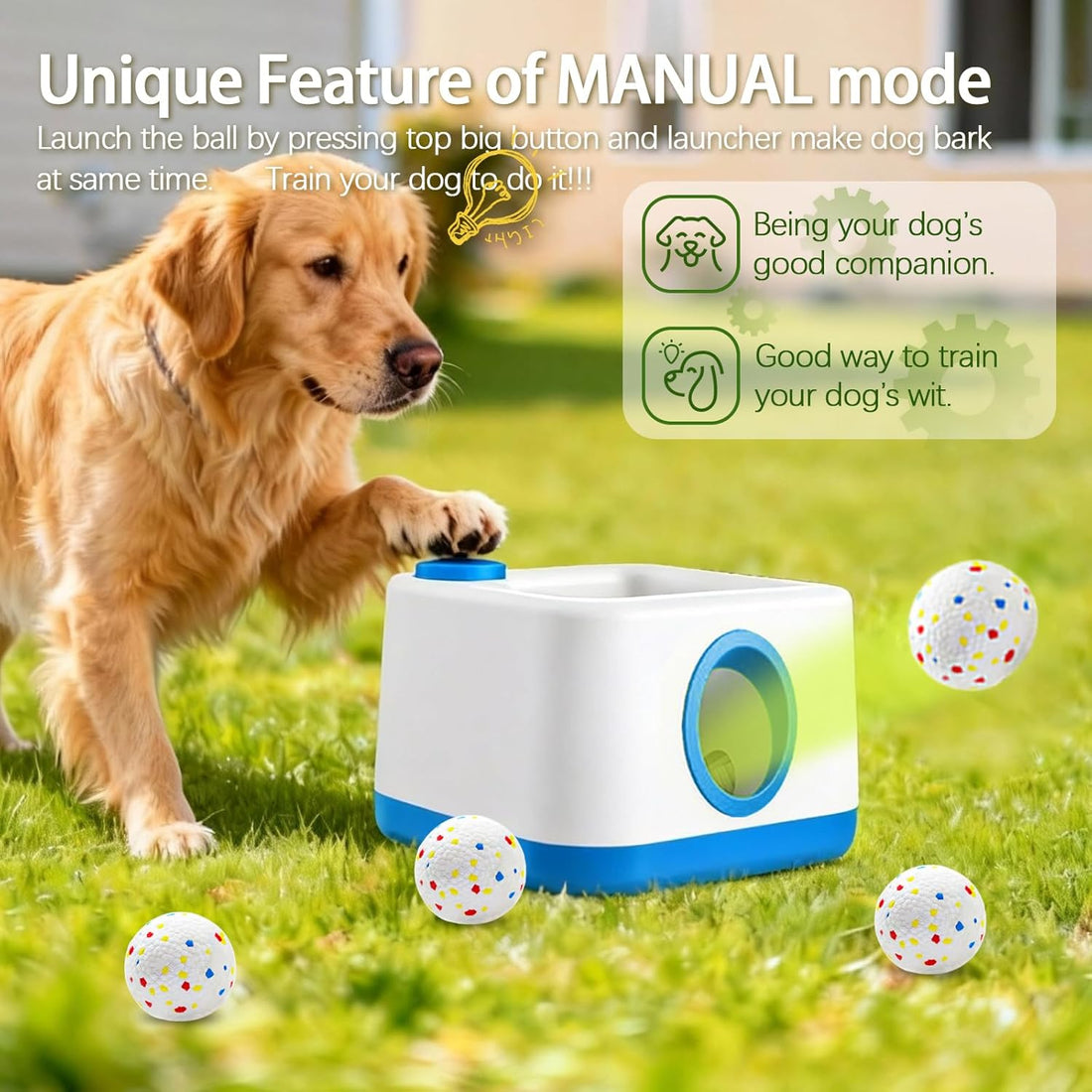 Automatic Dog Ball Launcher, Auto/Manual Paw-Activated Dog Ball
