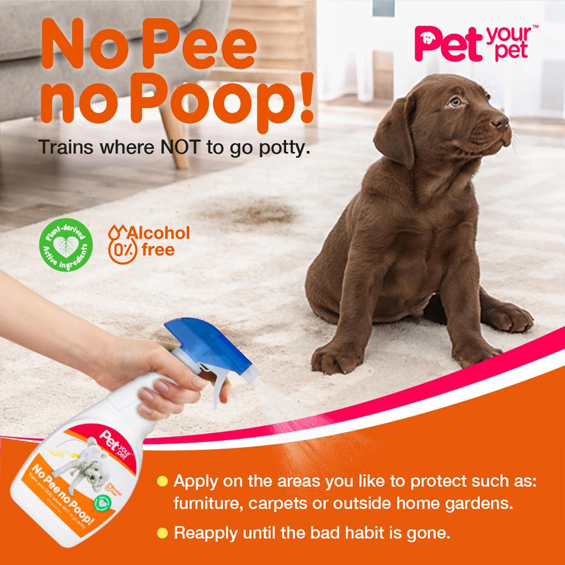 Dog Potty Training Spray No Pee No Poop, 16 Fl Oz