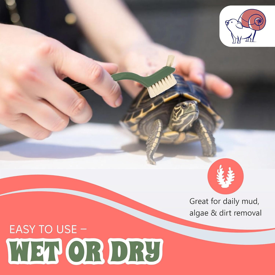 Turtle Cleaning Brush Remove Aquatic Mud, Dirt