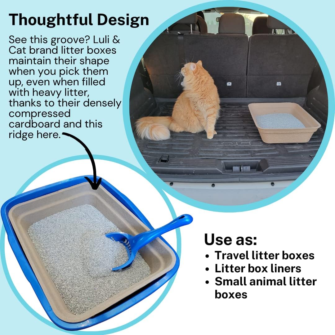 Luli & Cat Disposable Litter Boxes for Cats | Large Sized 4-Pack