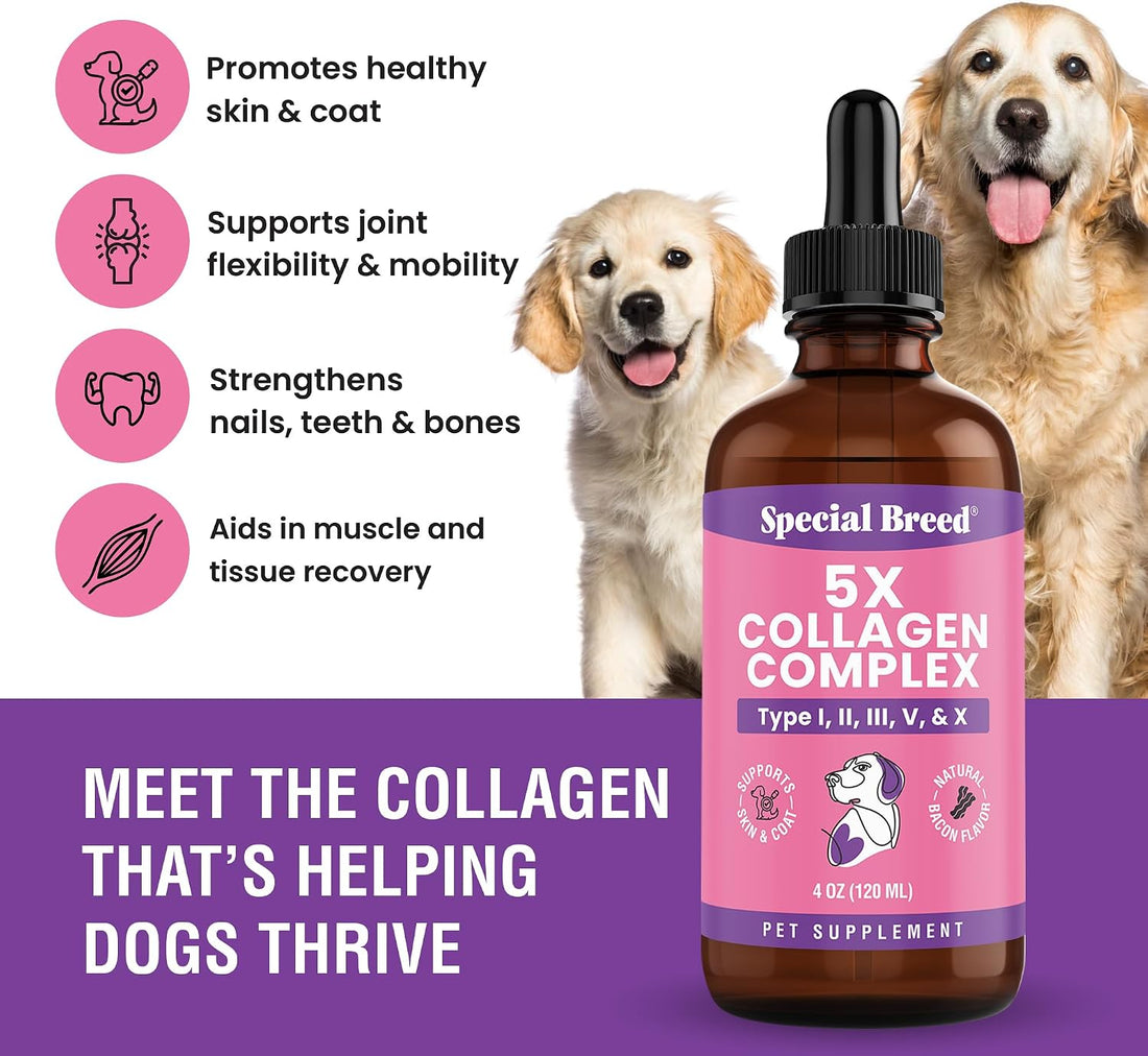 Premium Collagen for Dogs - Liquid Support for Joints, Skin, Coat