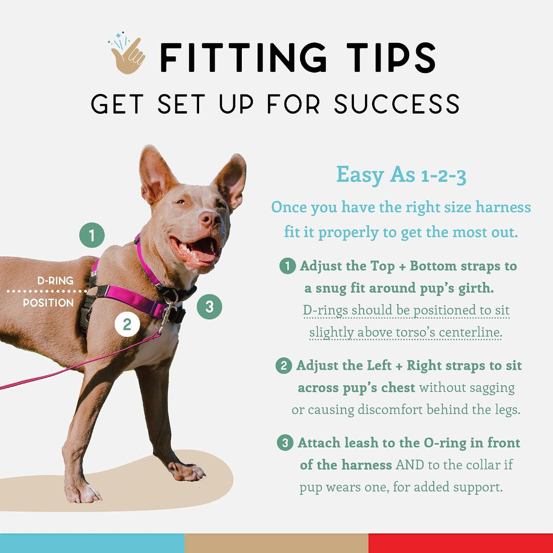 Wildebeest No Pull Dog Harness | Comfortable Training Harnesses