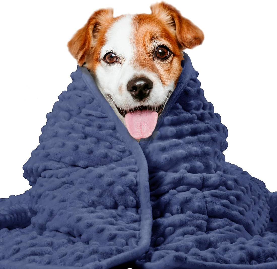 LaSyL Weighted Blanket for Pets | Thunder Blanket for Dogs Anxiety