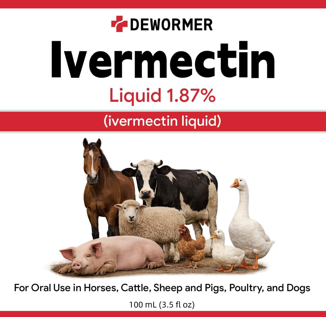 Dewormer, Liquid Formula, for Roundworms, Pinworms, and Others