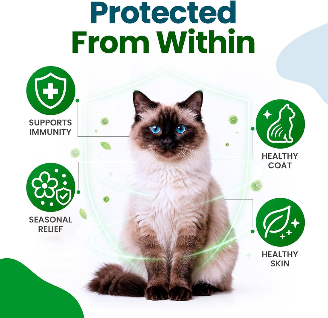 Allergy Chews for Cats Salmon 200 Count with Quercetin
